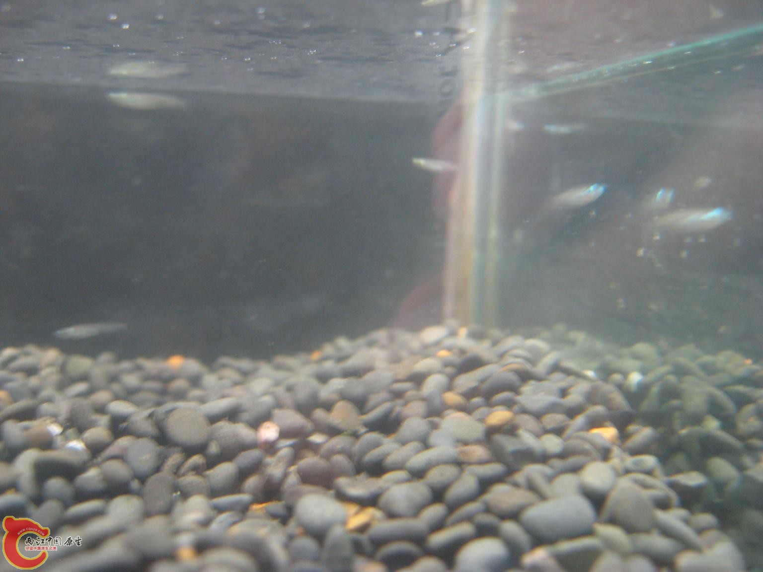IMGSRC_20130617171505_70.JPG
