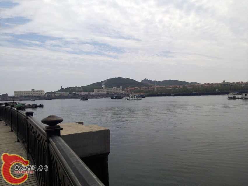 岸边观景！