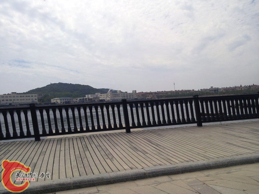 岸边观景！