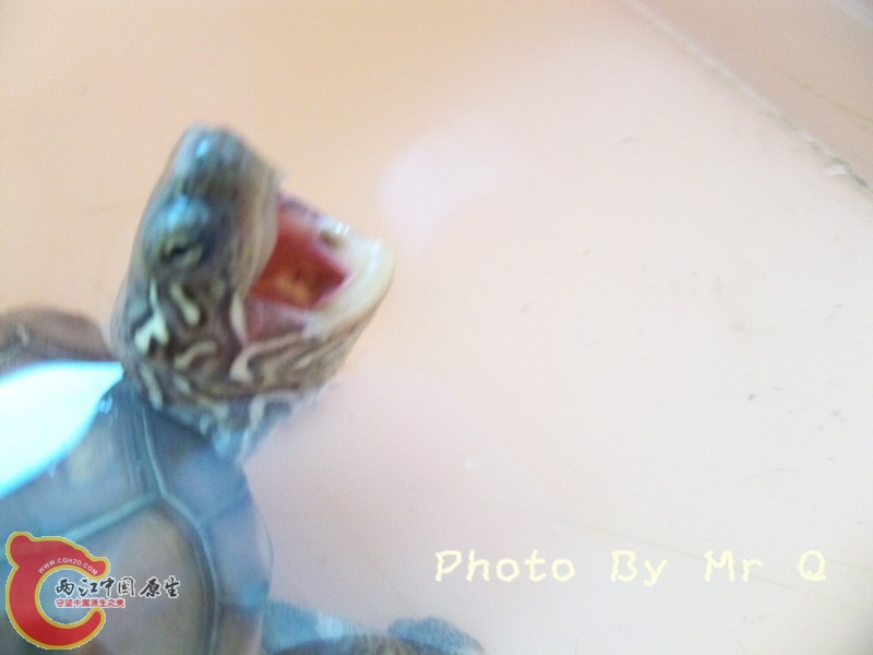 100_7352.jpg