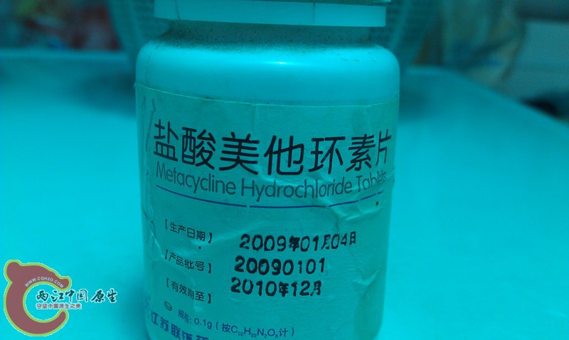 IMAG1343_副本.jpg