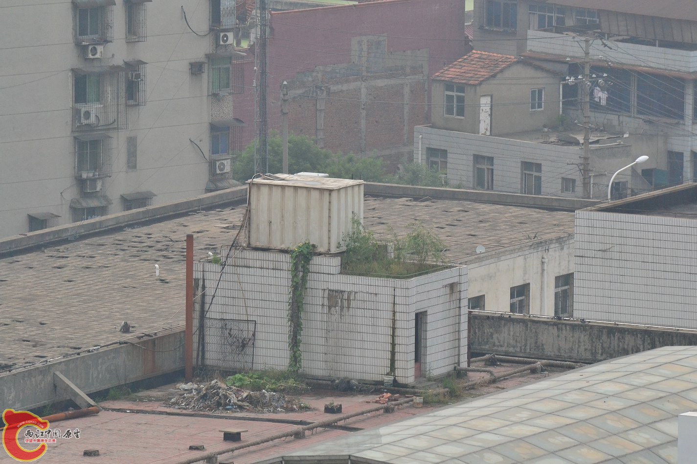 20130621-1548.JPG