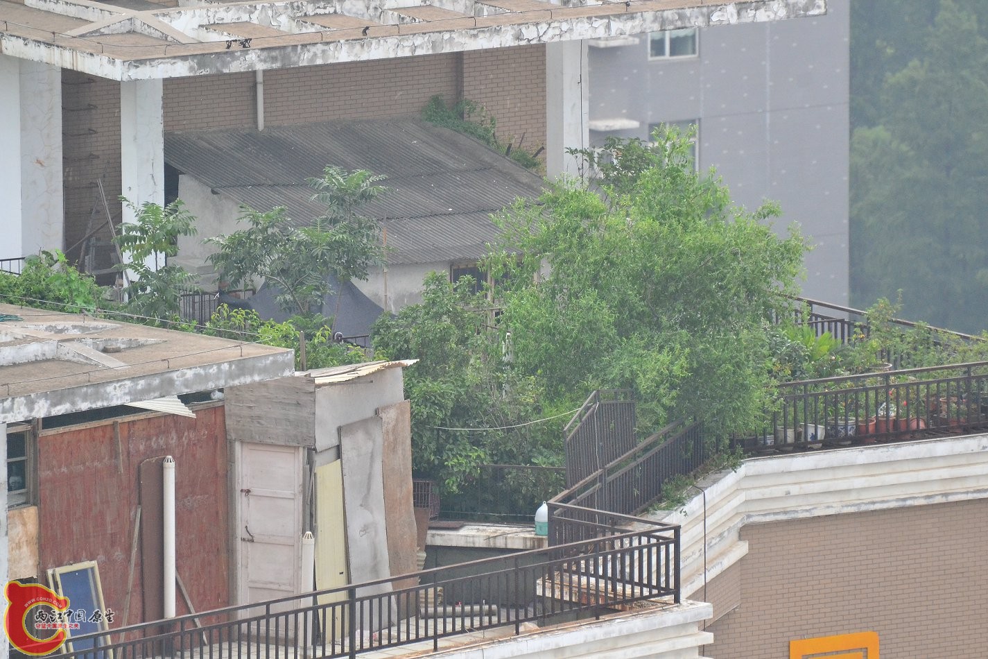 20130621-1549.JPG