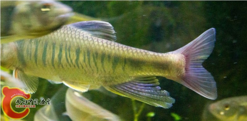 昨天发现的时候