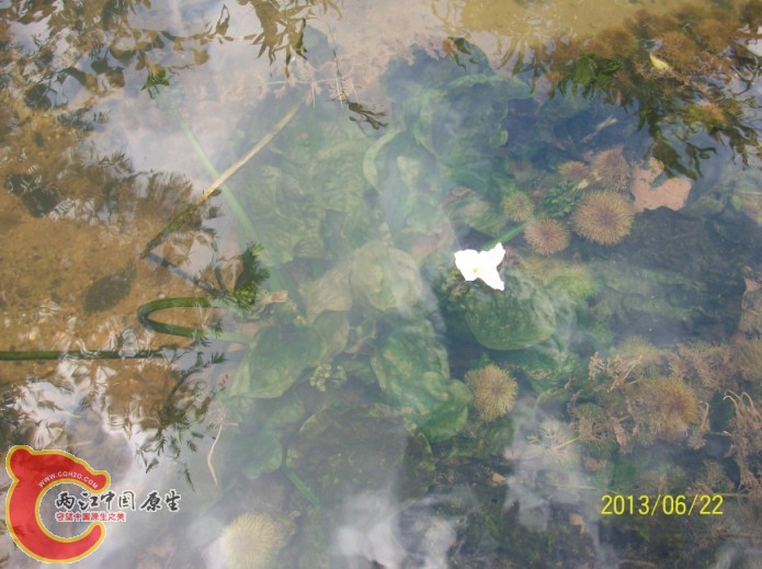QQ图片20130622193509.jpg