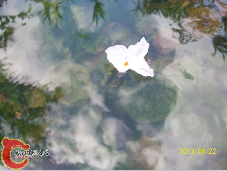 QQ图片20130622193555.jpg