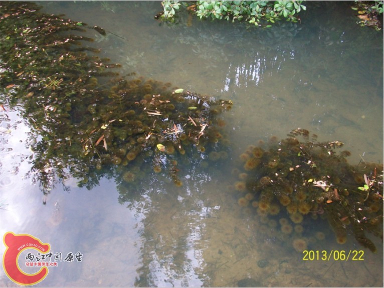 QQ图片20130622194426.jpg