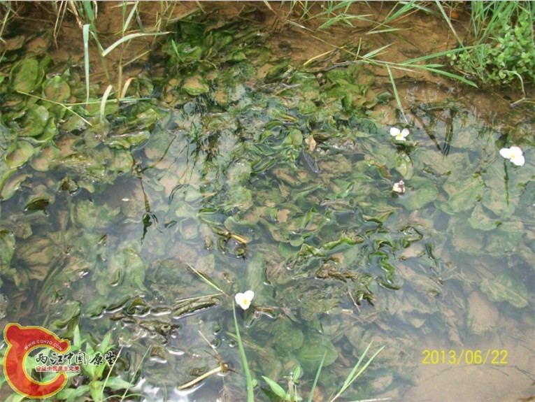 QQ图片20130622194530.jpg