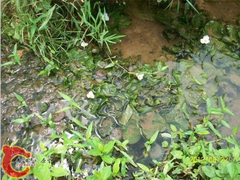 QQ图片20130622194612.jpg