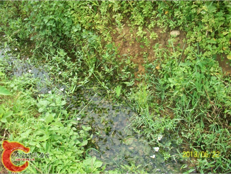 QQ图片20130622194625.jpg