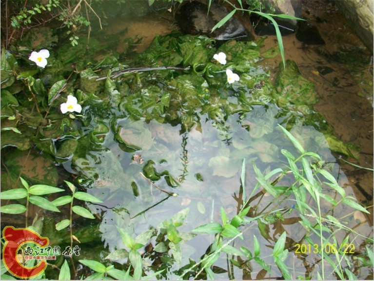 QQ图片20130622194745.jpg