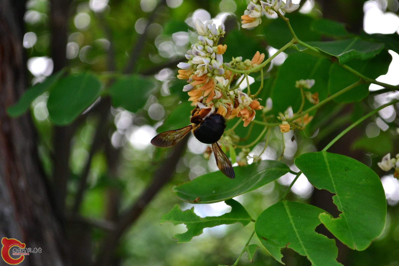 20130622-1676.JPG
