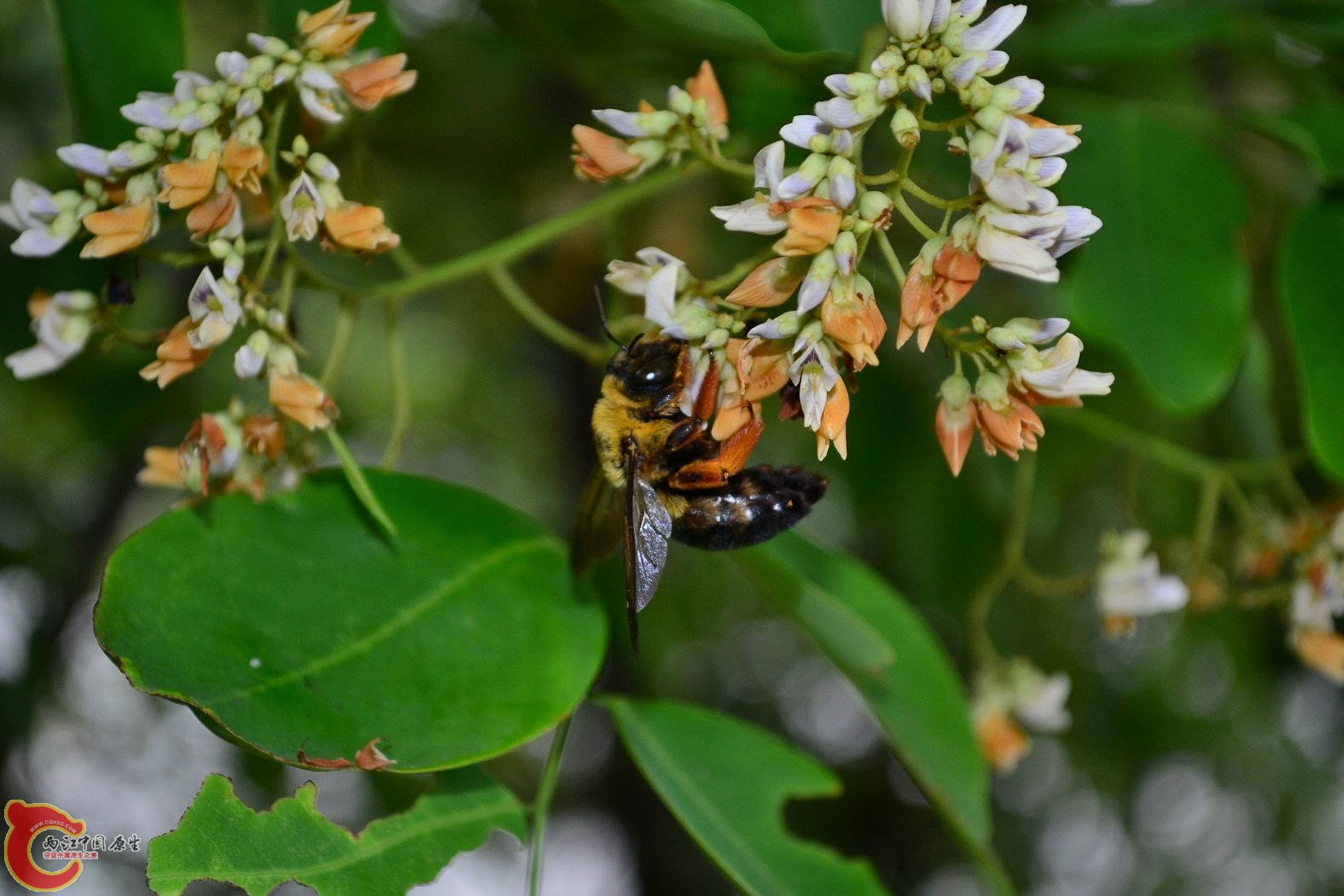 20130622-1679.JPG