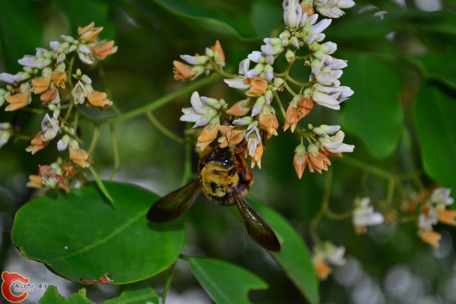 20130622-1680.JPG