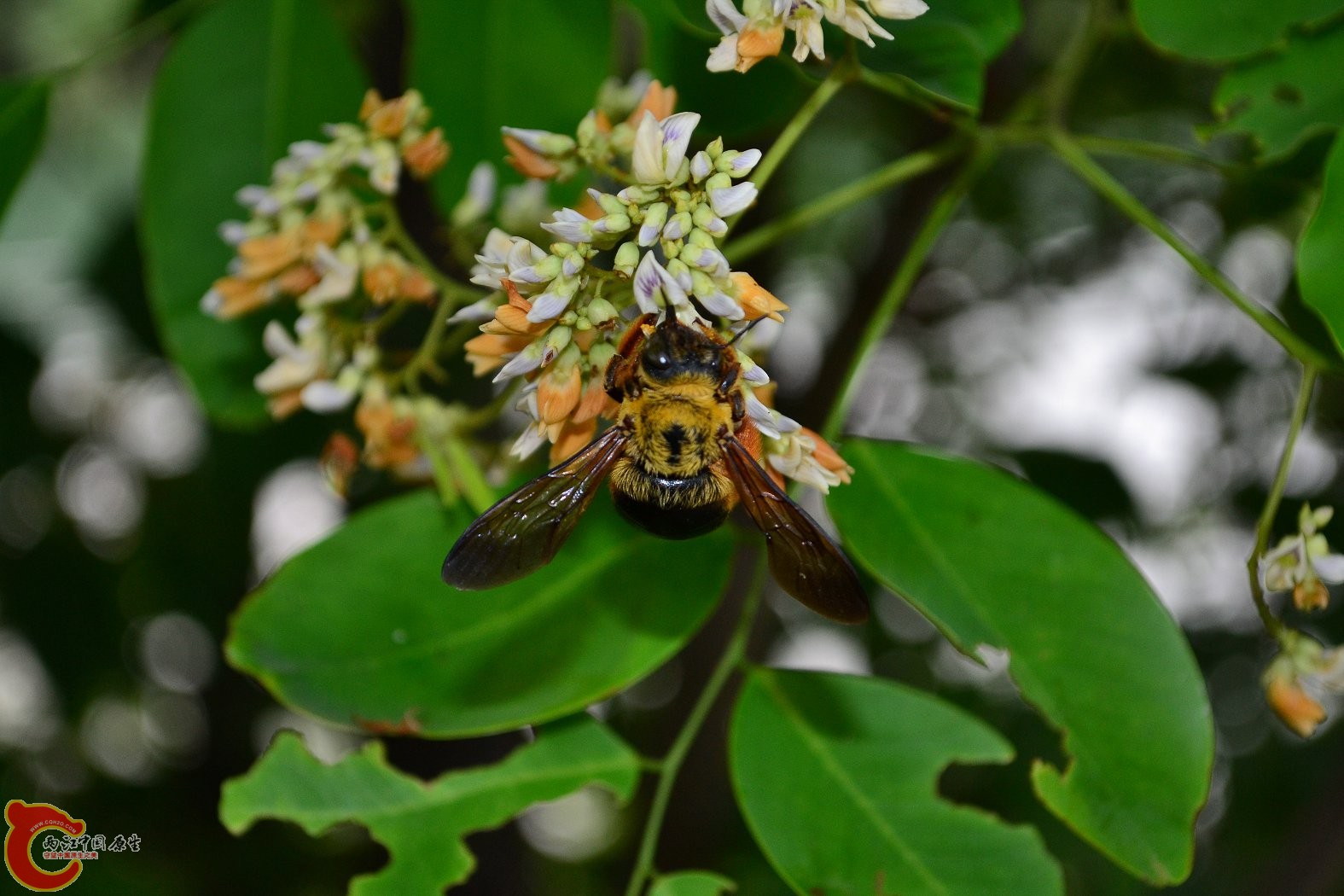 20130622-1681.JPG