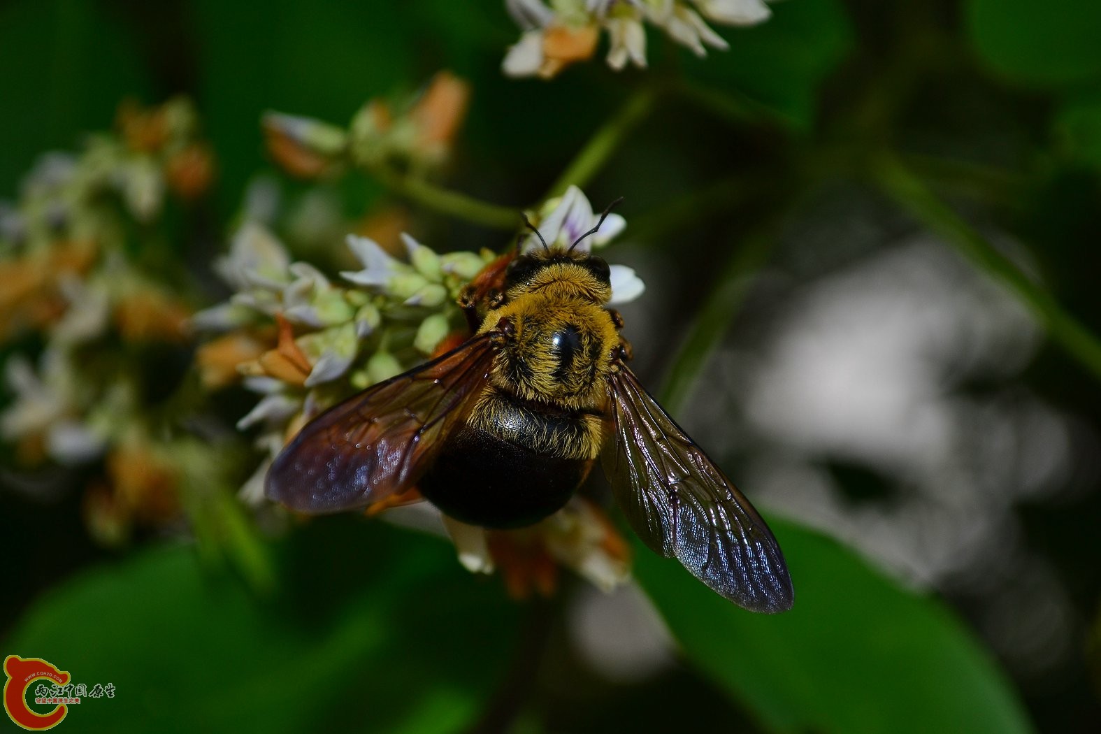 20130622-1682.JPG