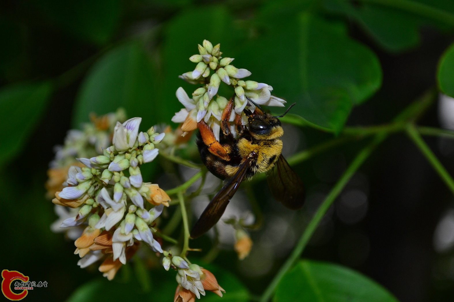 20130622-1683.JPG