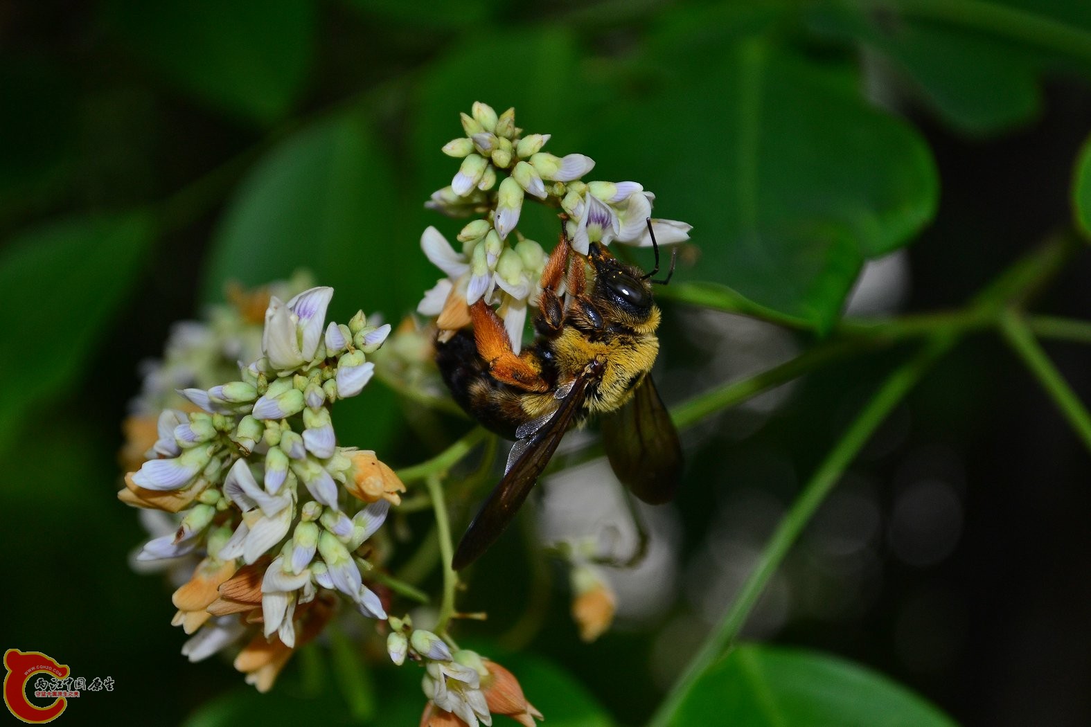 20130622-1684.JPG