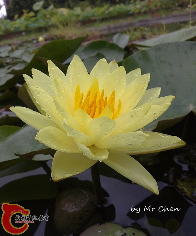 20130624018_副本.jpg