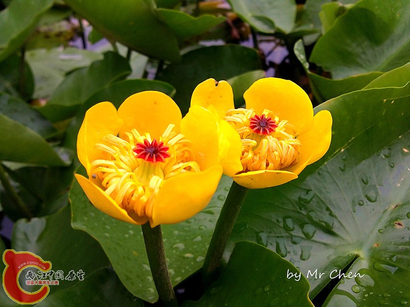 20130624019_副本.jpg