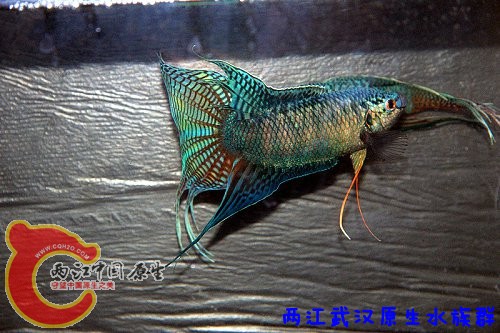 IMG_3356_.jpg
