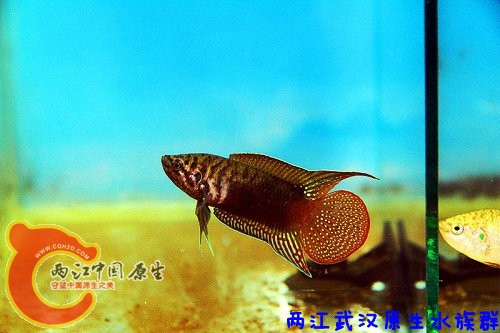 IMG_3415.jpg