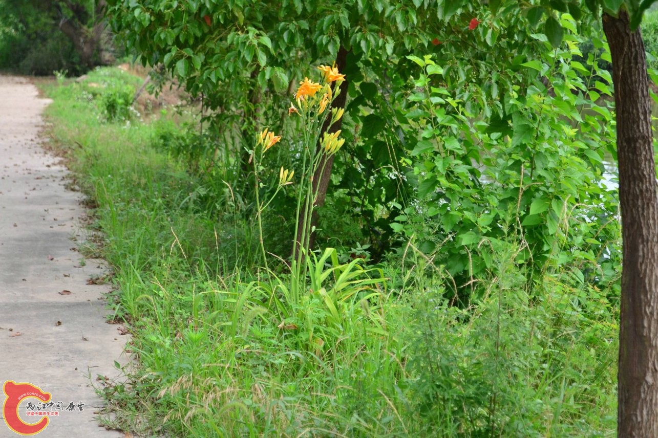 20130622-1584.jpg