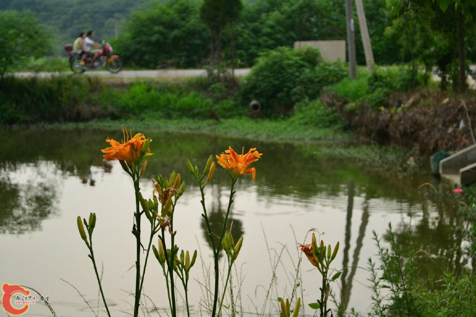 20130622-1596.jpg