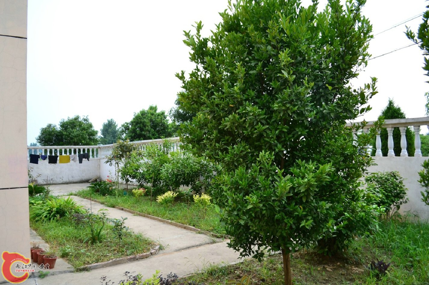 20130622-1601.jpg