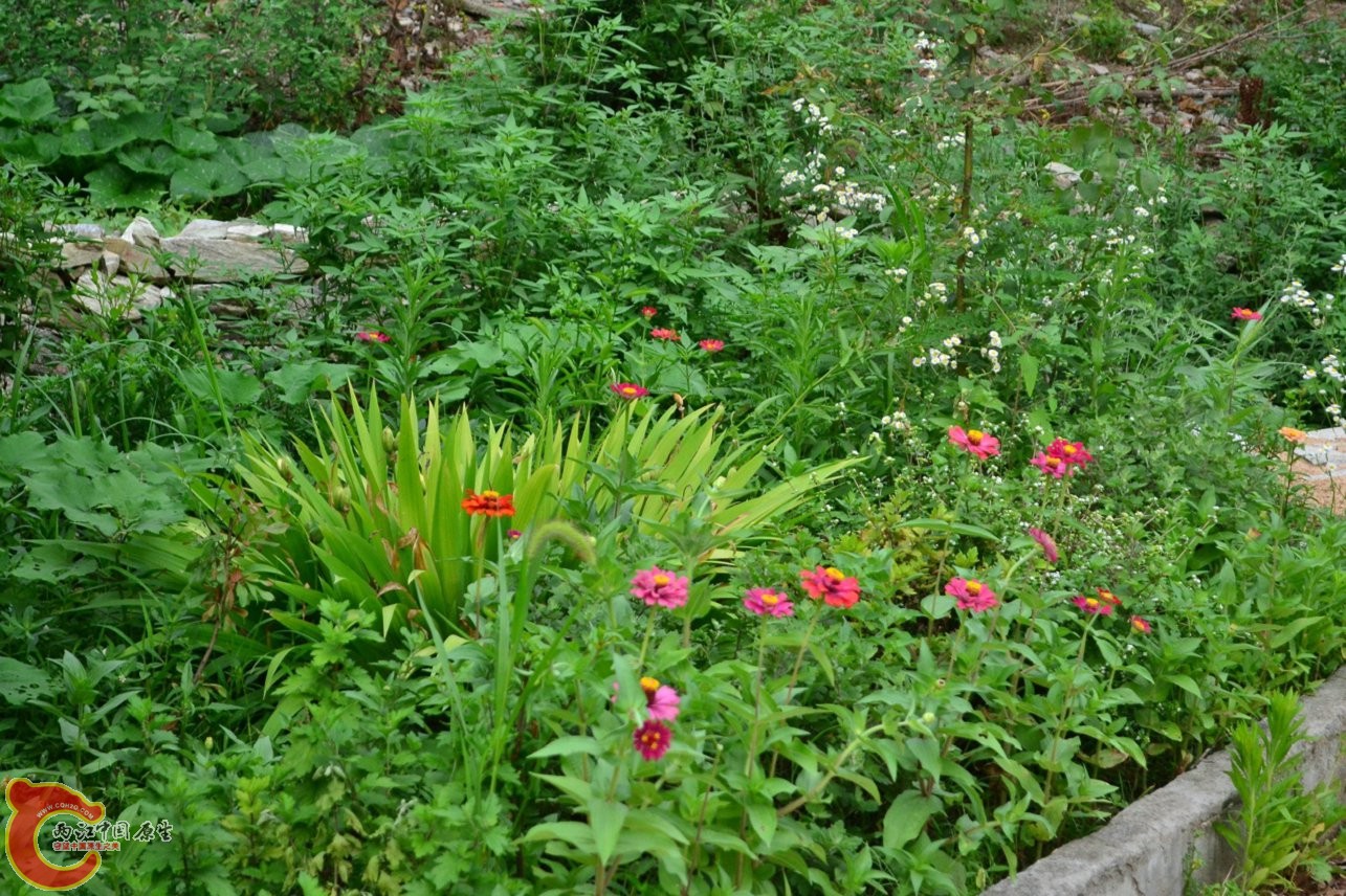 20130622-1611.jpg