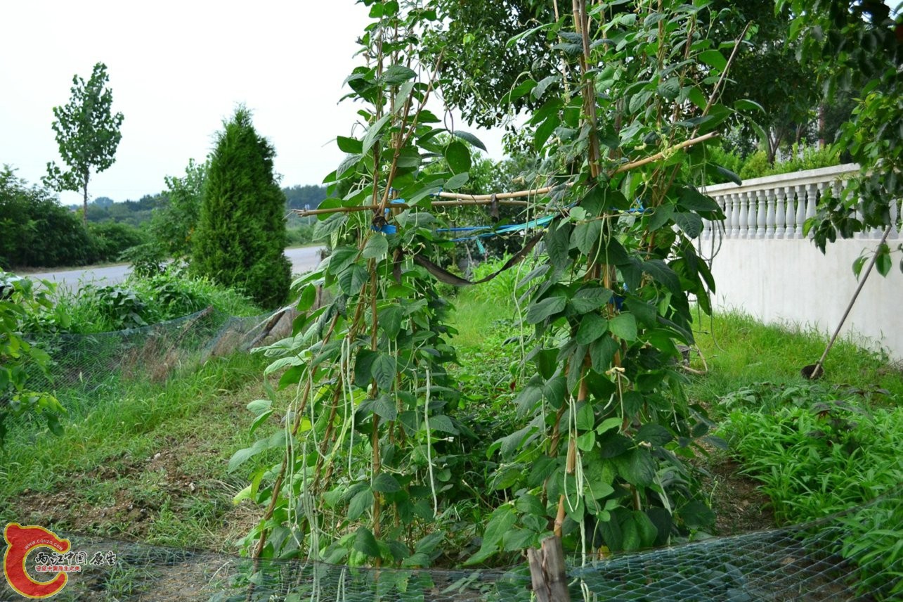 20130622-1617.jpg