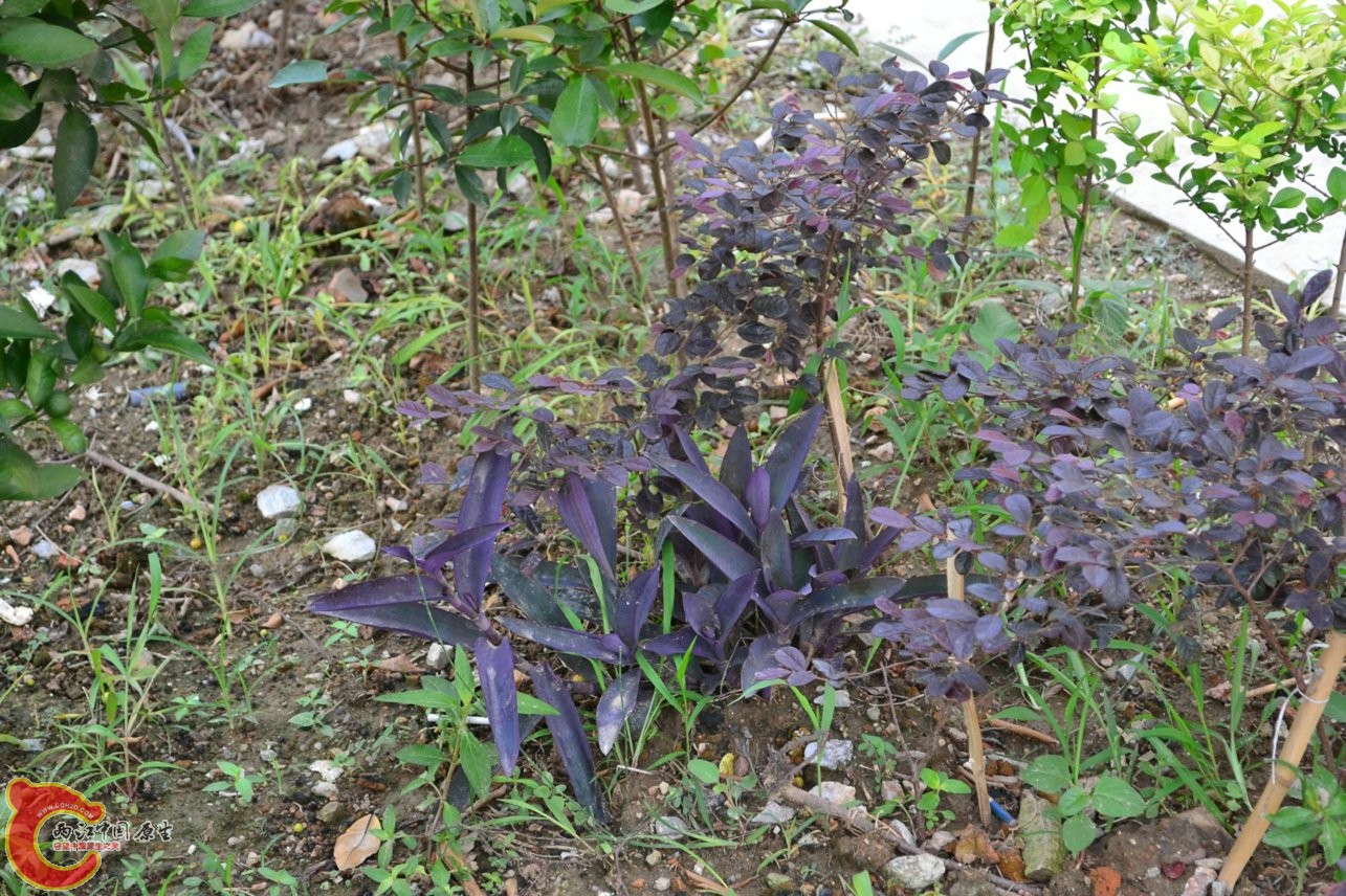 20130622-1620.jpg