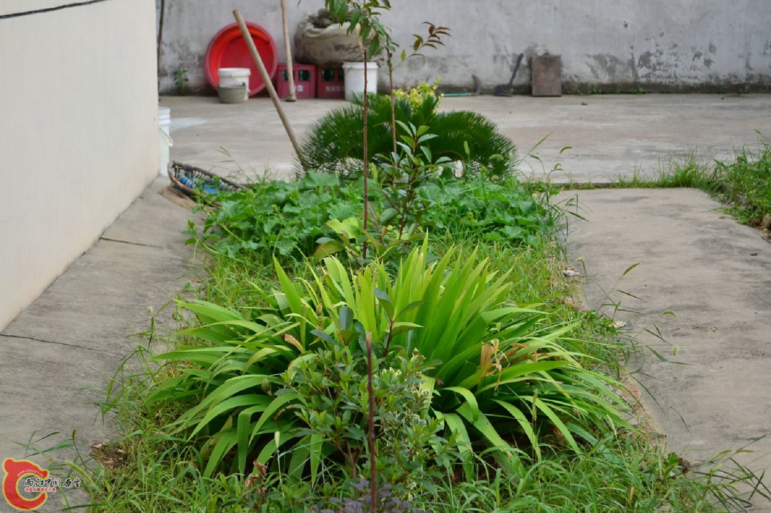 20130622-1622.jpg