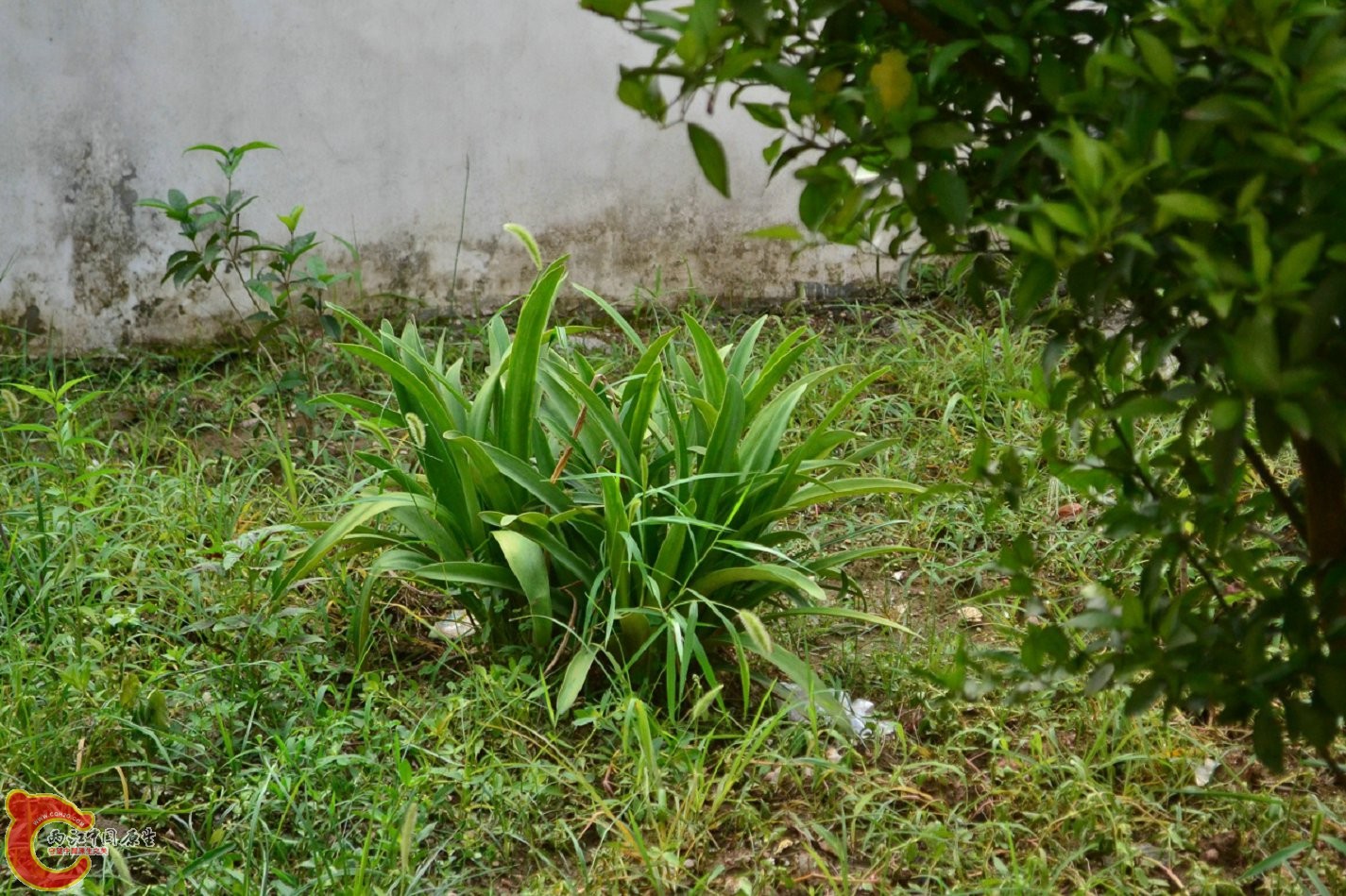 20130622-1623.jpg