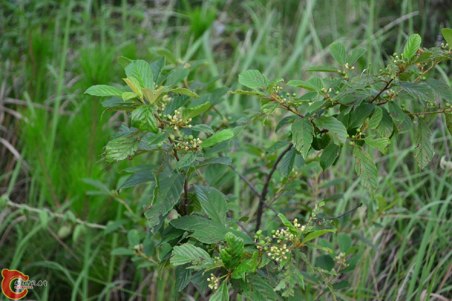 20130622-1660.jpg