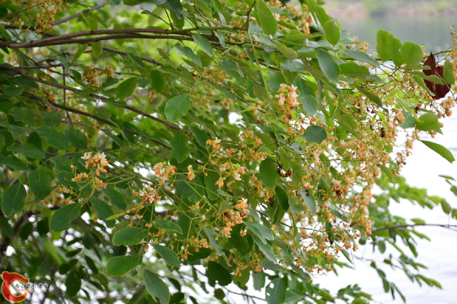 20130622-1674.jpg