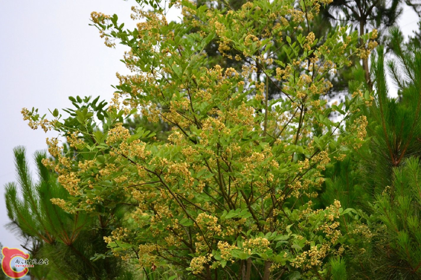 20130622-1688.jpg