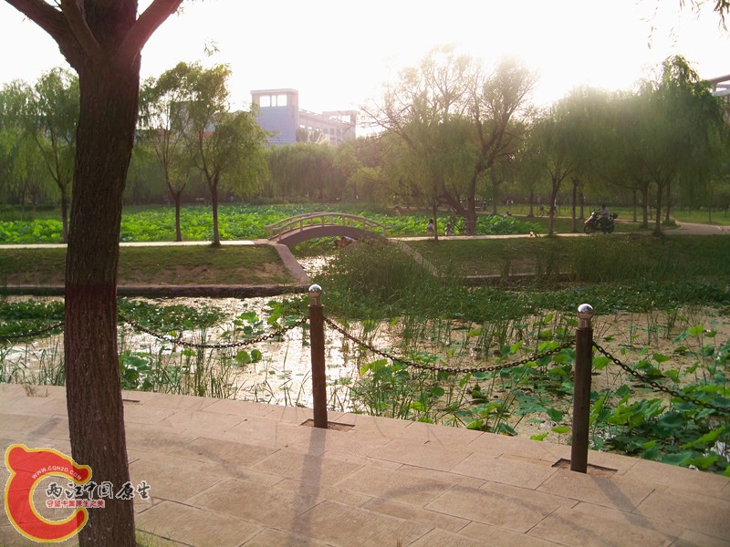 100_7470_副本.jpg