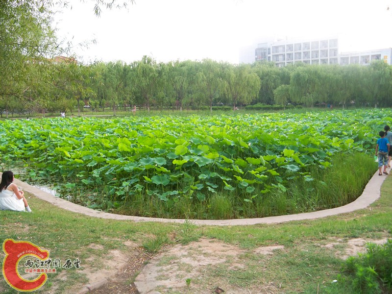 100_7487_副本.jpg