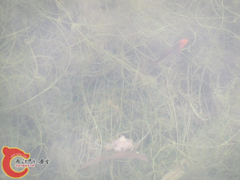 100_7484_副本.jpg