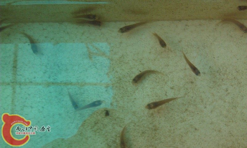 IMAG1362_副本.jpg
