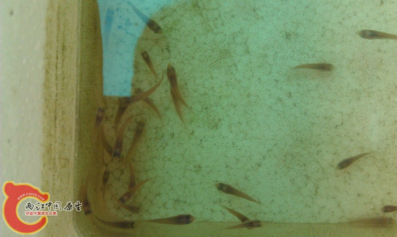 IMAG1363_副本.jpg