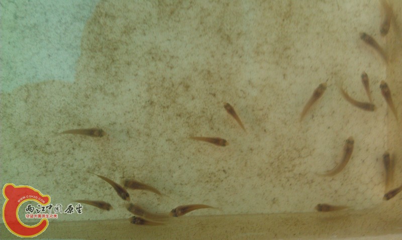 IMAG1364_副本.jpg