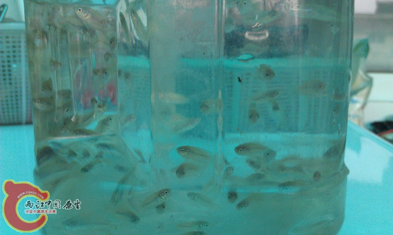 IMAG1367_副本.jpg