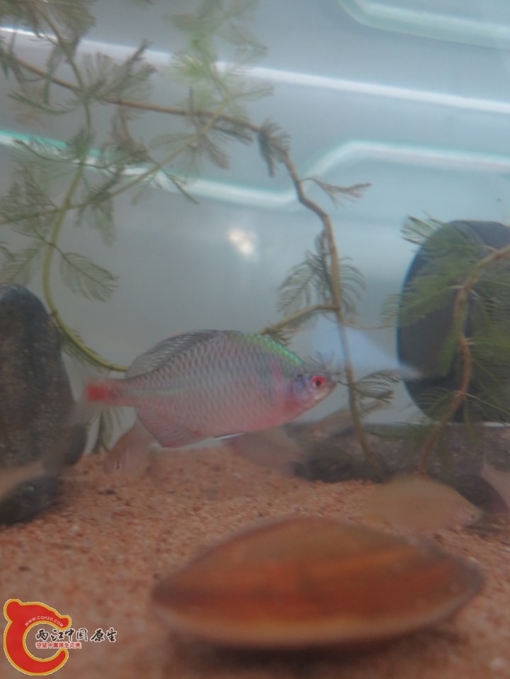 复件 large_yk3c_573e00004ef0118f.jpg