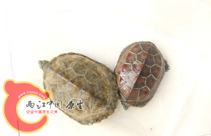 QQ截图20130629233832.png