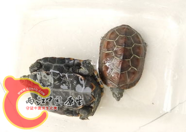 QQ截图20130629233901.png