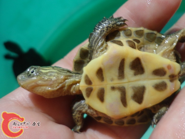 QQ图片20130629235127.jpg
