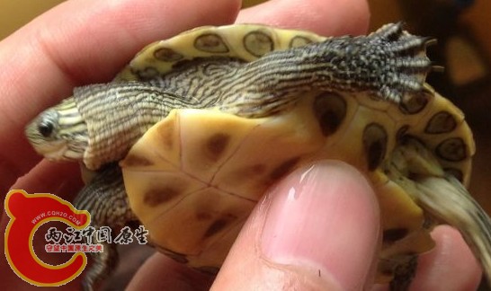 QQ图片20130629235215.jpg