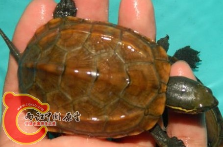 搜狗截图13年06月29日2357_1.jpg